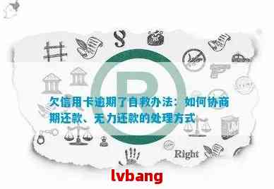 揭秘最新白条提现攻略，轻松解决资金难题