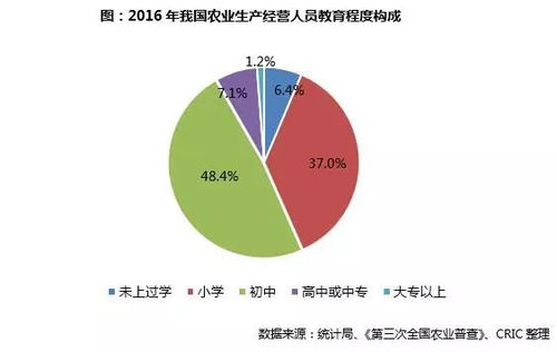 乡村振兴战略下农业发展的新路径与案例解析