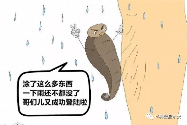 揭秘最新白条套现技巧，助你轻松摆脱财务困境