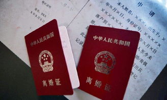 离婚怎么要求查酒店记录 离婚查询酒店记录，法律途径与实际操作指南