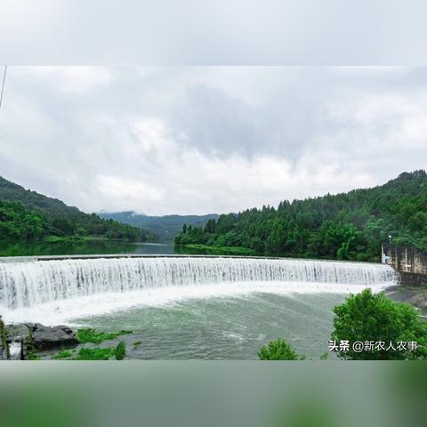 四川乡村分布概览，山川秀美，特色鲜明