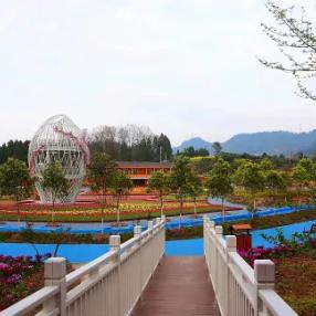 四川乡村分布概览，山川秀美，特色鲜明