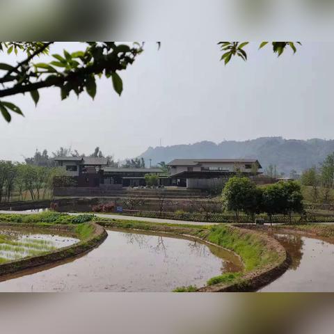 四川乡村分布概览，山川秀美，特色鲜明