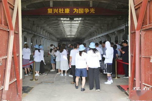 探秘云梦县品牌板材厂，探寻优质板材的诞生地