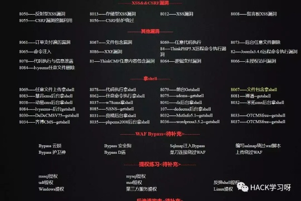 揭秘全国黑客接任务网站，暗网中的黑色产业链