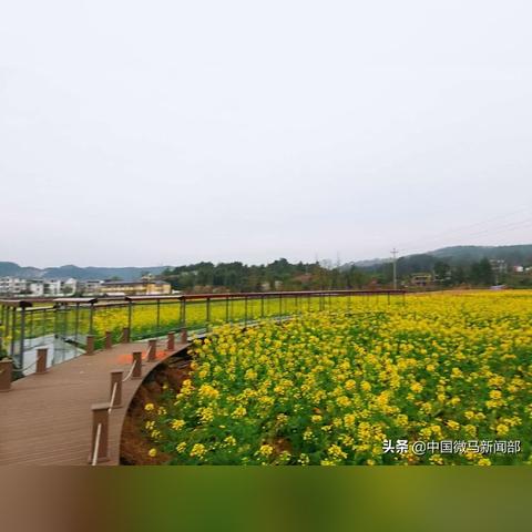 打造秀美乡村，共建美丽乡村—实用攻略与案例分析