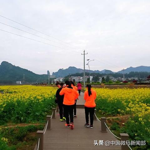 打造秀美乡村，共建美丽乡村—实用攻略与案例分析