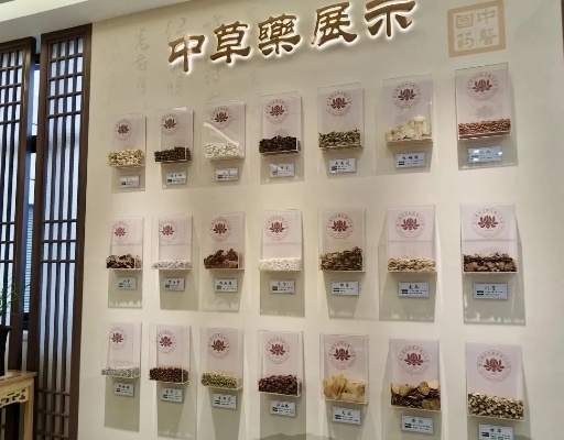 中医药品牌创建之路