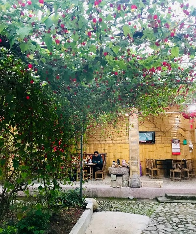 乡村小院的温馨待客之道