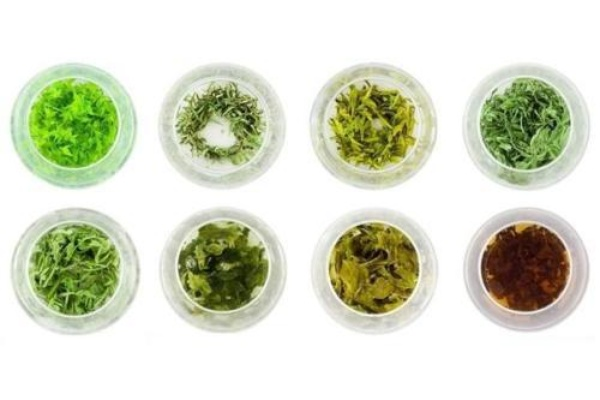选茶叶，选品牌真的好吗？一探究竟！