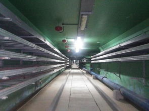 福建智慧管廊一体化，打造城市地下智慧大脑