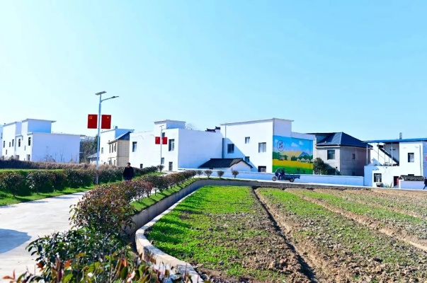 乡镇如何巧妙运用乡村振兴资金，助力乡村发展新篇章