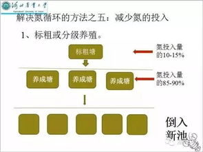 物理机服务器与光算云，融合趋势下的未来之路