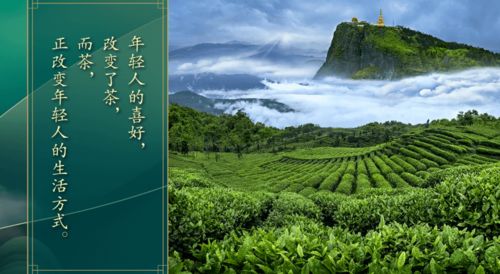 印象秋韵，探寻茶叶界的秋日诗篇