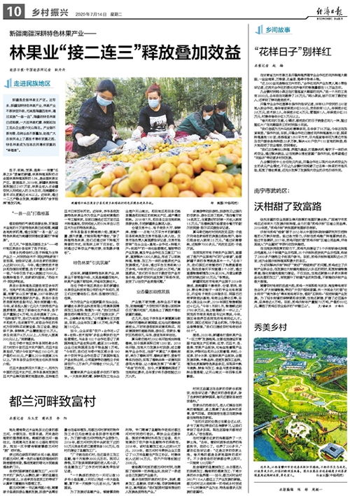 新手司机乡村小路汇入主干道攻略，轻松过渡，安全无忧