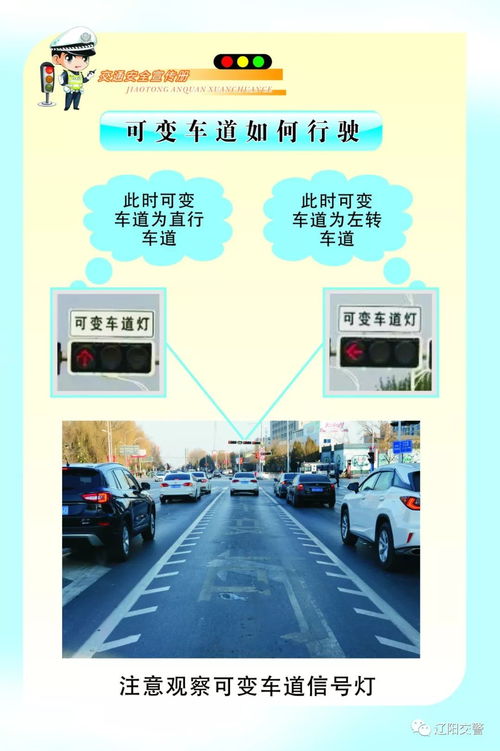 新手司机乡村小路汇入主干道攻略，轻松过渡，安全无忧