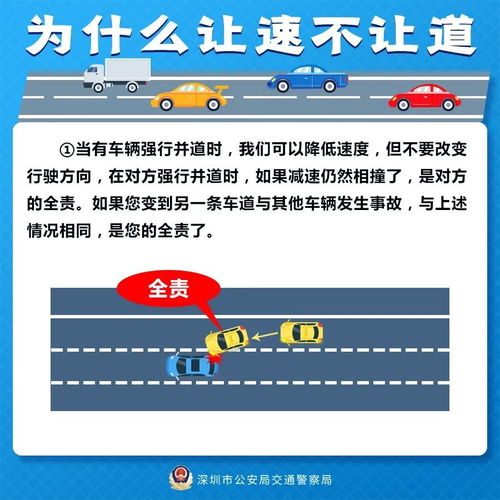 新手司机乡村小路汇入主干道攻略，轻松过渡，安全无忧