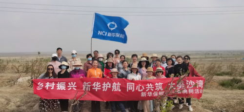 我为乡村振兴添砖加瓦—个人如何助力乡村振兴战略