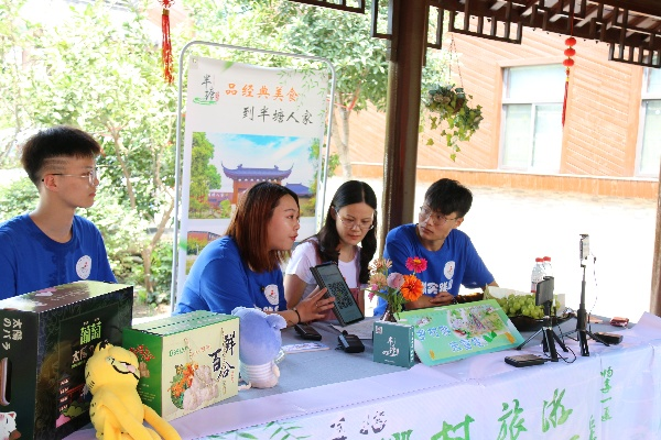 大学生如何投身乡村建设，实践与创新的探索之路