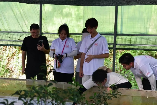 大学生如何投身乡村建设，实践与创新的探索之路