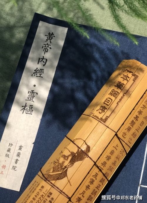 山东中医药品牌排名，揭秘那些家喻户晓的宝藏！