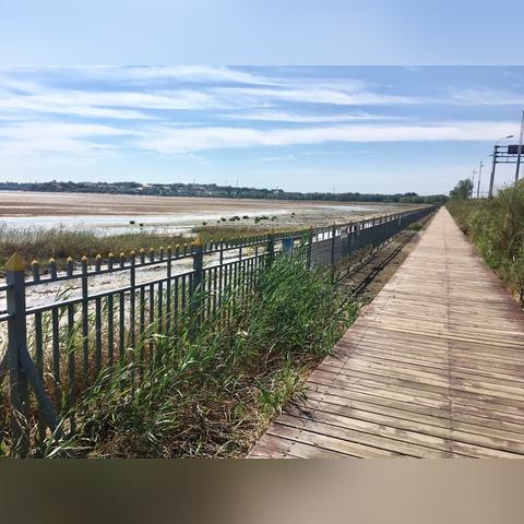 海鸟标志的户外品牌