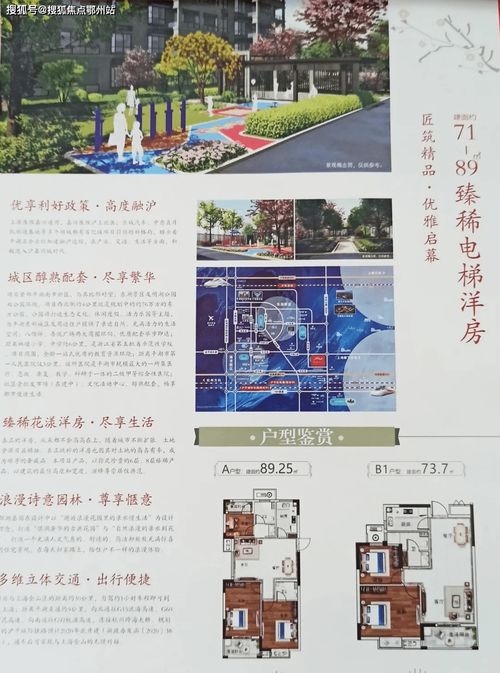 母婴品牌电话—您的贴心家庭顾问