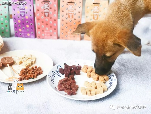狗狗零食大揭秘，精选品牌推荐，让你的爱犬开心享食