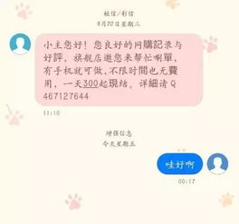 羊小咩便荔卡申请套出来 羊小咩便荔卡申请攻略，轻松套出优惠，享受生活乐趣