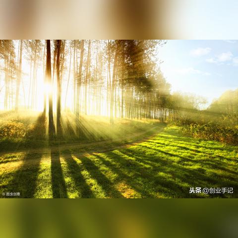 果汁搭配白酒，品味不一样的酒香世界