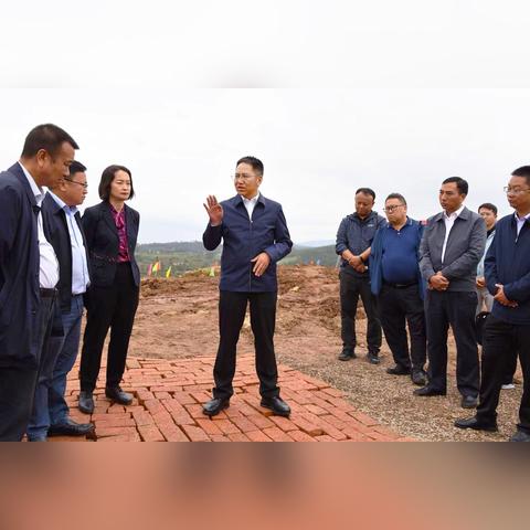 村委会在乡村振兴中的关键作用与实战案例分享