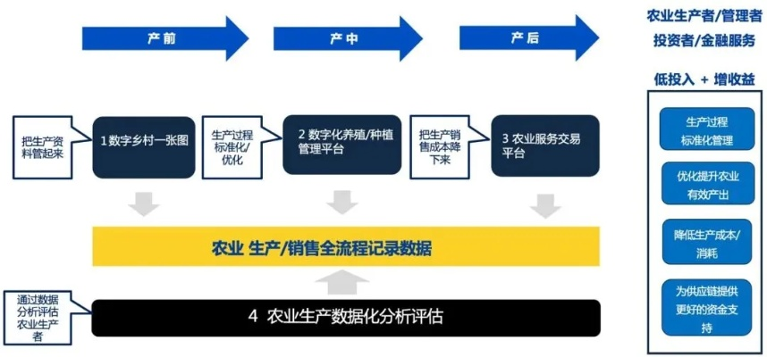 如何吸引投资到乡村办企业—实操攻略与案例分析