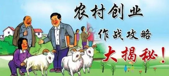 如何吸引投资到乡村办企业—实操攻略与案例分析