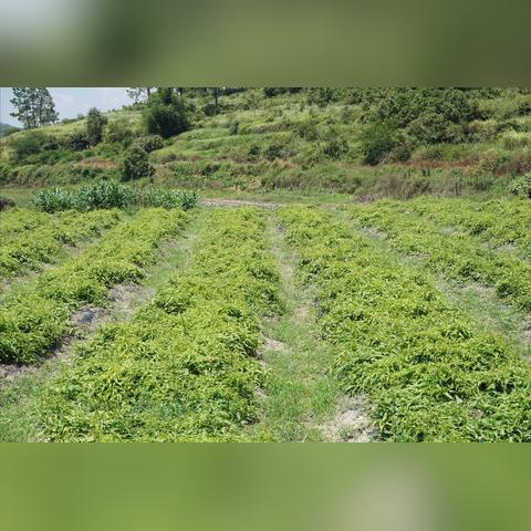 干燥护肤品加盟品牌推荐