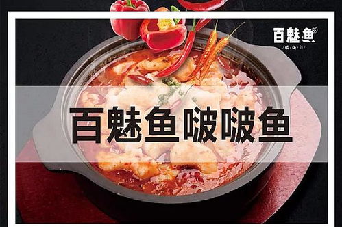 番禺区美食加盟品牌推荐—品味品质美食，选择靠谱品牌