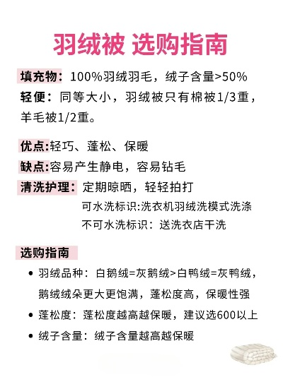 鸭绒被芯机洗价格揭秘，性价比之选，你值得拥有！