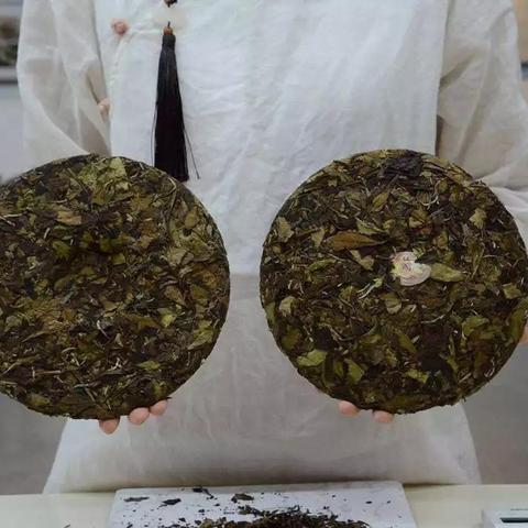 揭秘品牌茶之谜，台地茶叶还是高山茶？一探究竟！