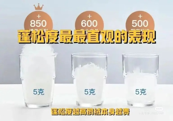 三斤重鸭绒被的价格揭秘，品质与价格的完美平衡