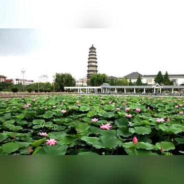 滕州夏季游玩攻略，盘点夏季必去的十大景点，畅享清凉夏日！