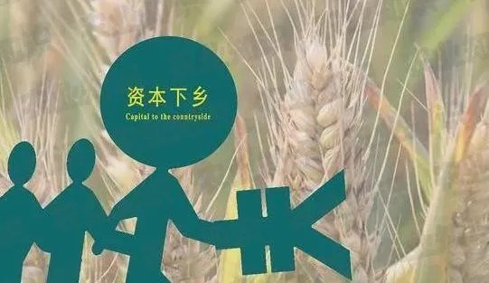 资本下乡，乡村振兴新路径—如何让资本与乡村完美结合