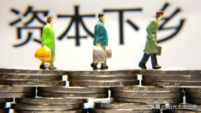 资本下乡，乡村振兴新路径—如何让资本与乡村完美结合