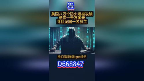 揭秘24小时黑客在线QQ接单人才网，揭秘神秘的黑客世界
