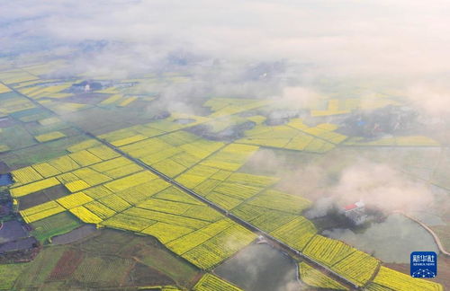 2021吉安美丽乡村游参团攻略，轻松畅游赣鄱大地，体验田园风光