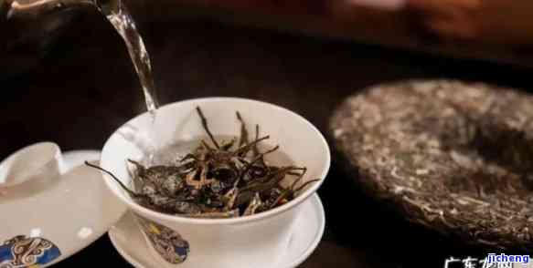 盘点最靓茶叶推荐品牌，品味茶香四溢的美好时光