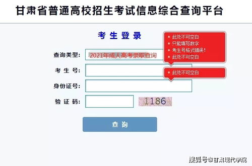 全国查开房记录 全面揭秘，全国范围内查开房记录的操作流程与注意事项