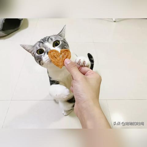 零食品牌大数据分析，揭秘市场趋势与消费者喜好