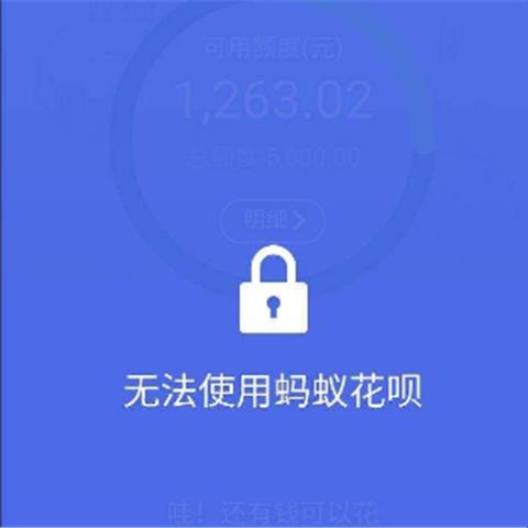 如何找到花呗套出来的商家账号 找到花呗套出来的商家账号？