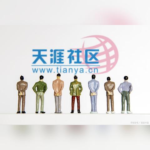 揭秘电信物理服务器，网络世界的幕后英雄