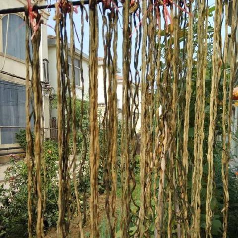 新招鲜加盟店热门品牌推荐