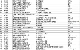 家装五金清单大揭秘，品牌选购攻略，打造完美家居！